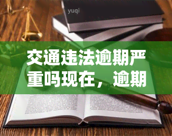 交通违法逾期严重吗现在，逾期未处理的交通违法有多严重？现在需要了解的情况