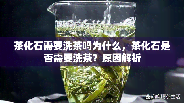 茶化石需要洗茶吗为什么，茶化石是否需要洗茶？原因解析