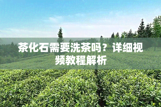 茶化石需要洗茶吗？详细视频教程解析