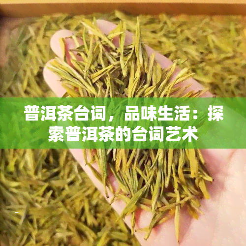 普洱茶台词，品味生活：探索普洱茶的台词艺术