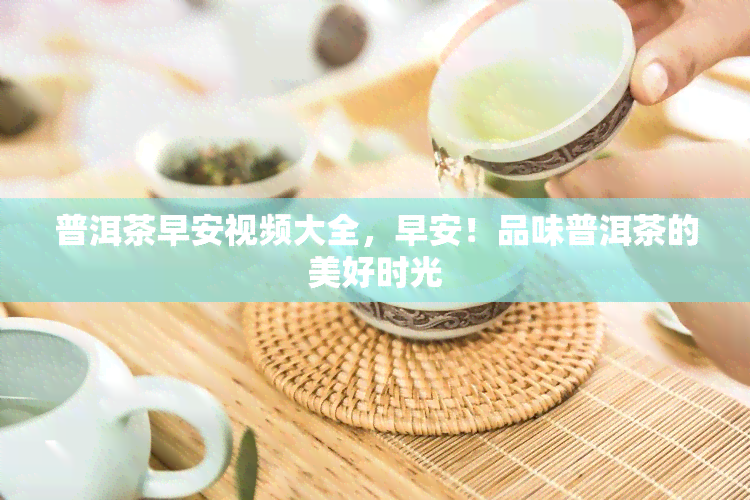 普洱茶早安视频大全，早安！品味普洱茶的美好时光