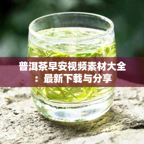 普洱茶早安视频素材大全：最新下载与分享