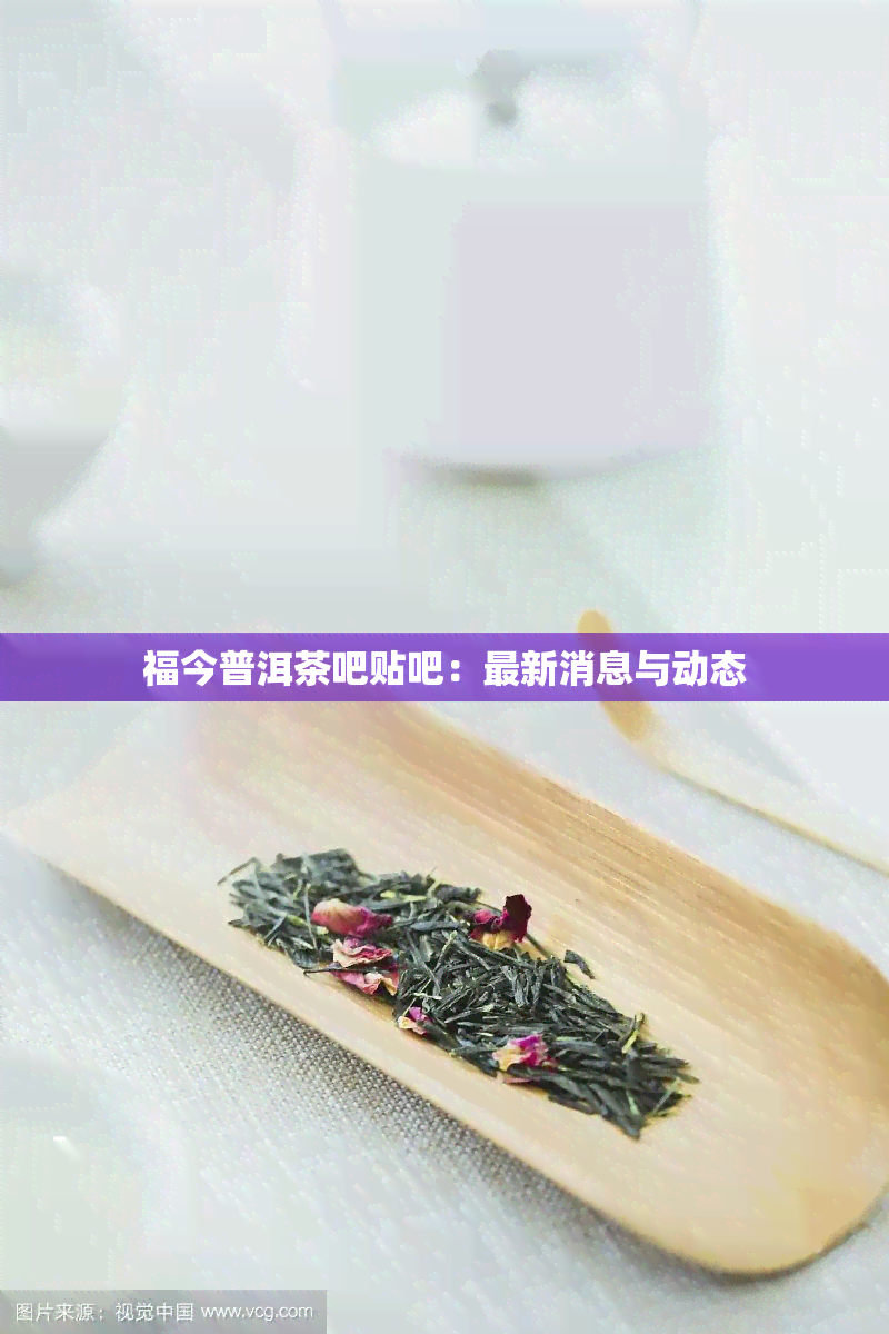 福今普洱茶吧贴吧：最新消息与动态