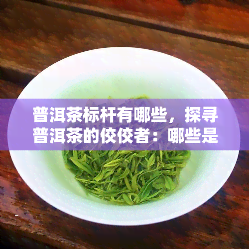 普洱茶标杆有哪些，探寻普洱茶的佼佼者：哪些是真正的标杆？