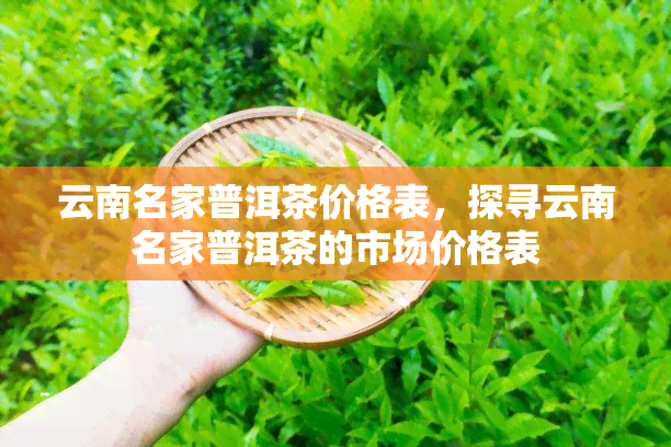 云南名家普洱茶价格表，探寻云南名家普洱茶的市场价格表