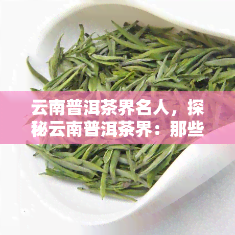 云南普洱茶界名人，探秘云南普洱茶界：那些备受瞩目的名人