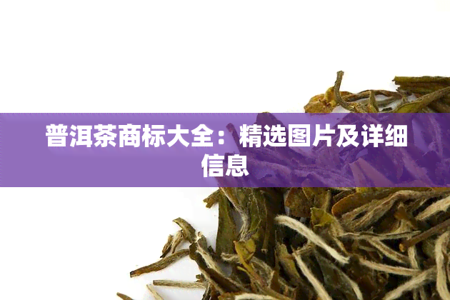 普洱茶商标大全：精选图片及详细信息