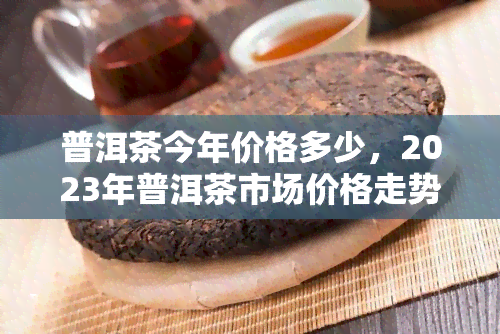 普洱茶今年价格多少，2023年普洱茶市场价格走势分析