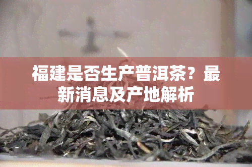 福建是否生产普洱茶？最新消息及产地解析