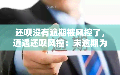 还呗没有逾期被风控了，遭遇还呗风控：未逾期为何仍受影响？