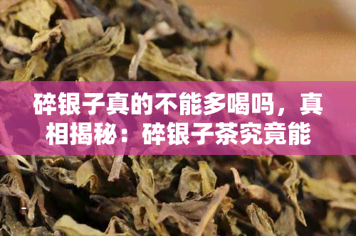 碎银子真的不能多喝吗，真相揭秘：碎银子茶究竟能否多喝？