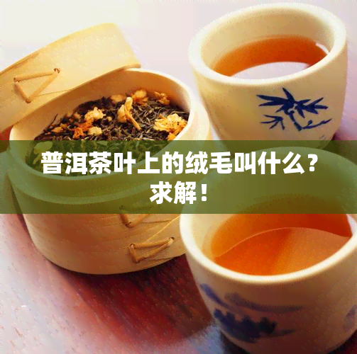 普洱茶叶上的绒毛叫什么？求解！