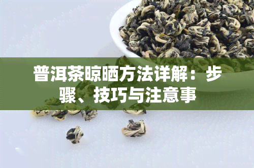 普洱茶晾晒方法详解：步骤、技巧与注意事