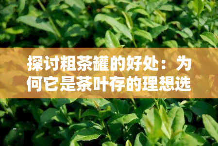 探讨粗茶罐的好处：为何它是茶叶存的理想选择？