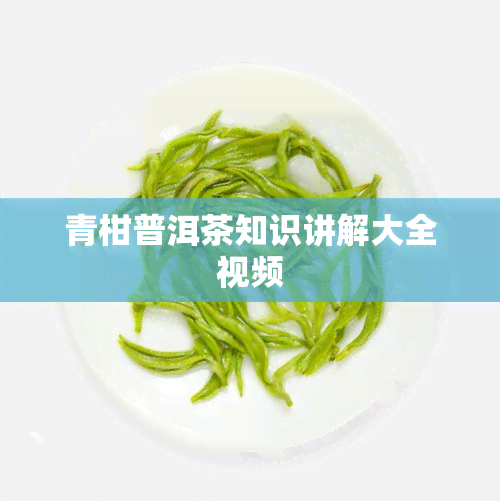 青柑普洱茶知识讲解大全视频