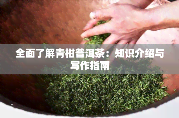 全面了解青柑普洱茶：知识介绍与写作指南