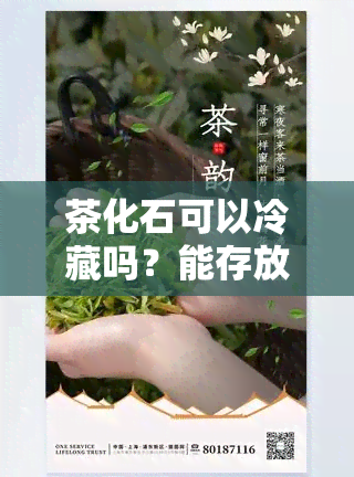 茶化石可以冷藏吗？能存放多久而不变质？