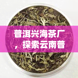 普洱兴海茶厂，探索云南普洱兴海茶厂：揭秘传统制茶工艺与现代科技的完美结合