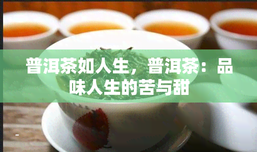 普洱茶如人生，普洱茶：品味人生的苦与甜