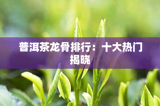 普洱茶龙骨排行：十大热门揭晓