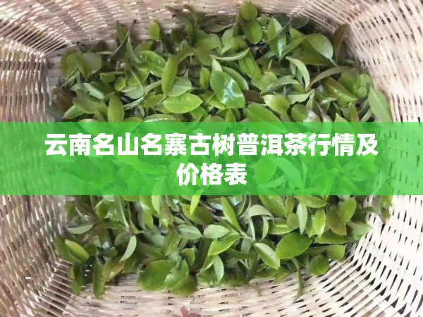 云南名山名寨古树普洱茶行情及价格表