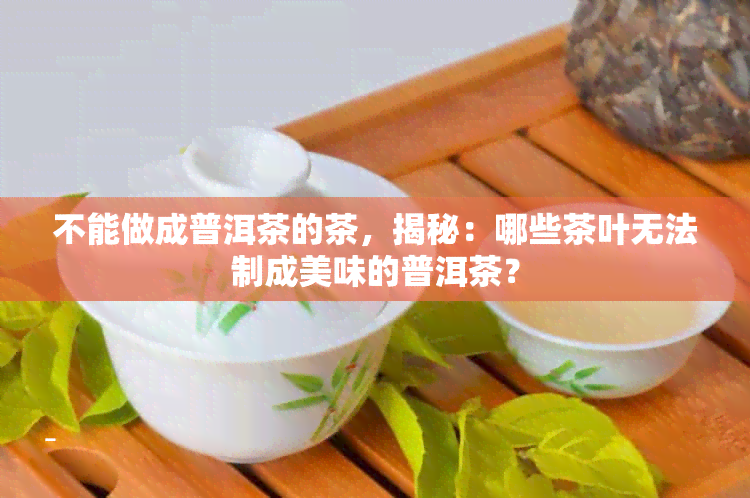 不能做成普洱茶的茶，揭秘：哪些茶叶无法制成美味的普洱茶？