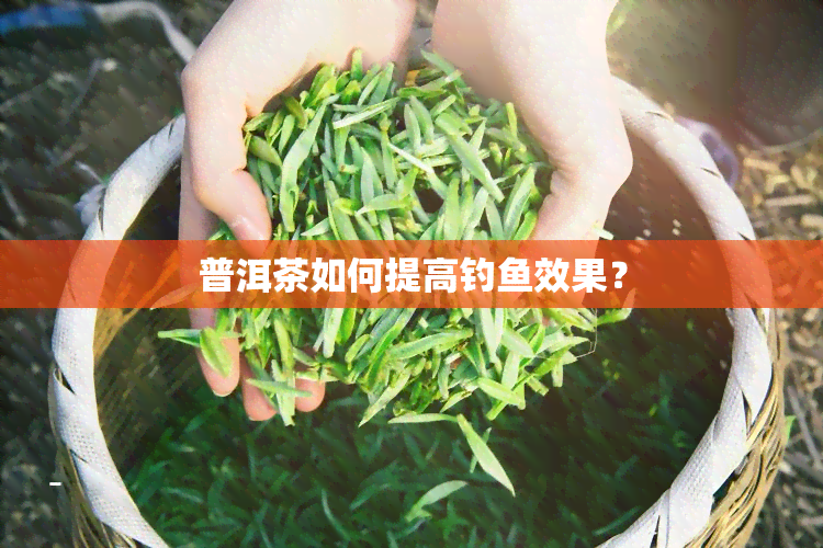 普洱茶如何提高钓效果？