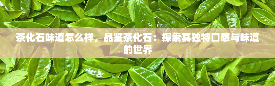 茶化石味道怎么样，品鉴茶化石：探索其独特口感与味道的世界