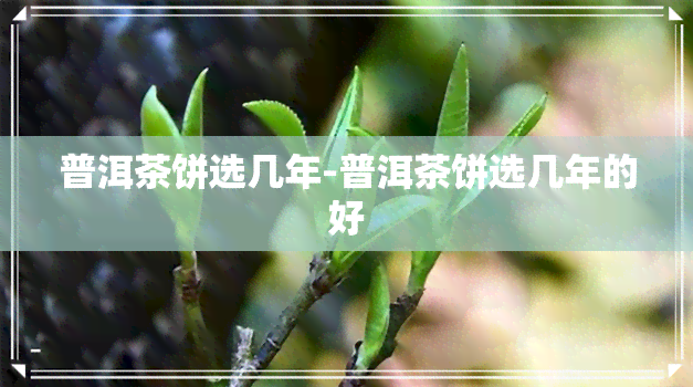 普洱茶饼选几年-普洱茶饼选几年的好