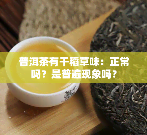 普洱茶有干稻草味：正常吗？是普遍现象吗？