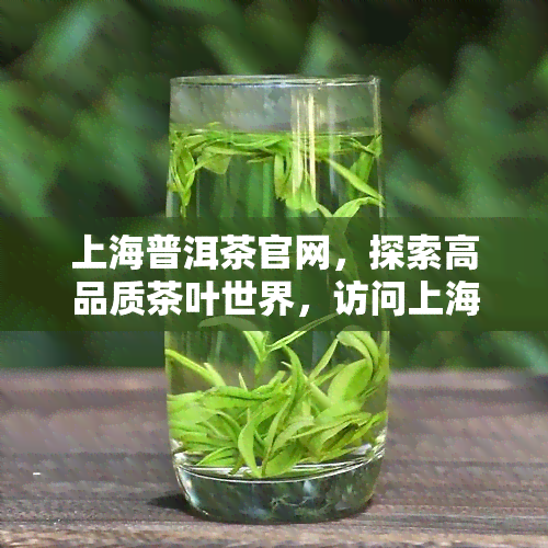 上海普洱茶官网，探索高品质茶叶世界，访问上海普洱茶官网