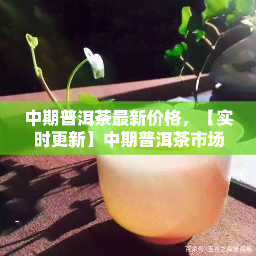 中期普洱茶最新价格，【实时更新】中期普洱茶市场价格一览