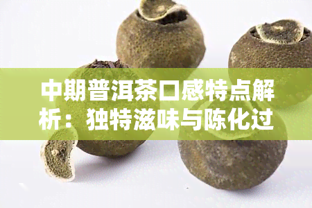 中期普洱茶口感特点解析：独特滋味与陈化过程的完美结合