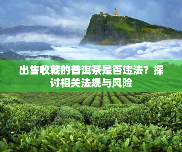 出售收藏的普洱茶是否违法？探讨相关法规与风险