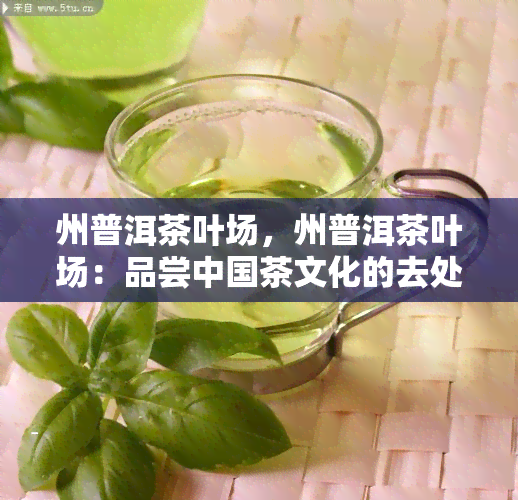 州普洱茶叶场，州普洱茶叶场：品尝中国茶文化的去处