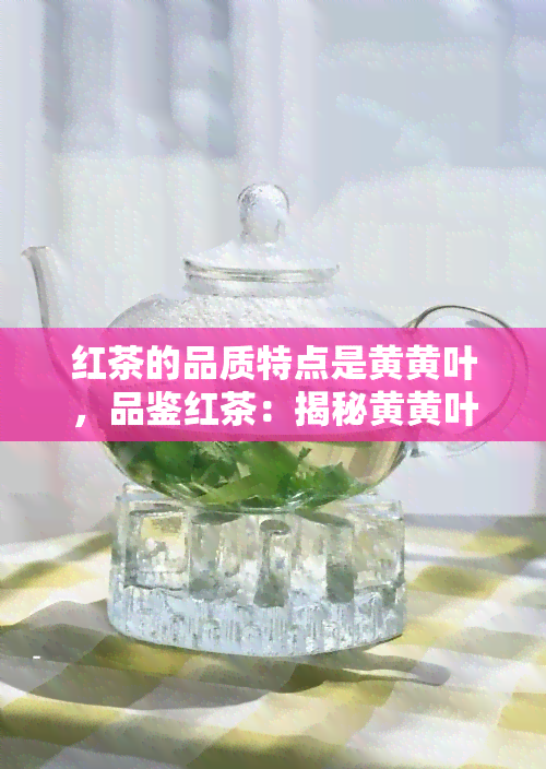 红茶的品质特点是黄黄叶，品鉴红茶：揭秘黄黄叶的独特品质特点