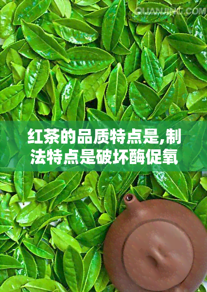 红茶的品质特点是,制法特点是破坏酶促氧化作用，红茶：制法特性和品质特点解析——破坏酶促氧化作用的关键