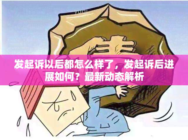 发起诉以后都怎么样了，发起诉后进展如何？最新动态解析