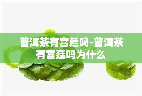 普洱茶有宫廷吗-普洱茶有宫廷吗为什么