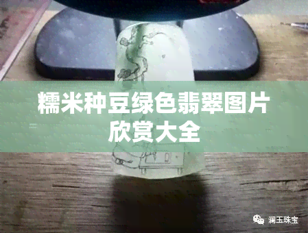 糯米种豆绿色翡翠图片欣赏大全