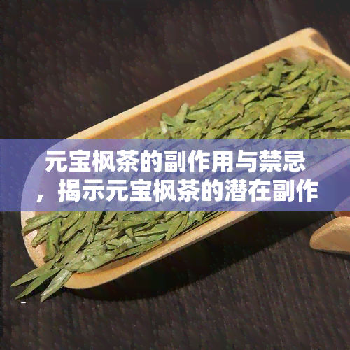 元宝枫茶的副作用与禁忌，揭示元宝枫茶的潜在副作用和饮用禁忌，你需要知道的一切