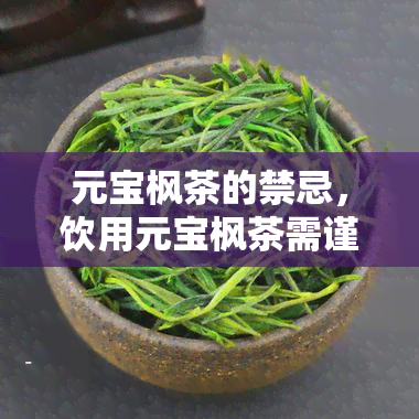 元宝枫茶的禁忌，饮用元宝枫茶需谨：了解其禁忌和注意事