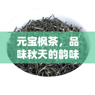 元宝枫茶，品味秋天的韵味：探寻元宝枫茶的独特魅力