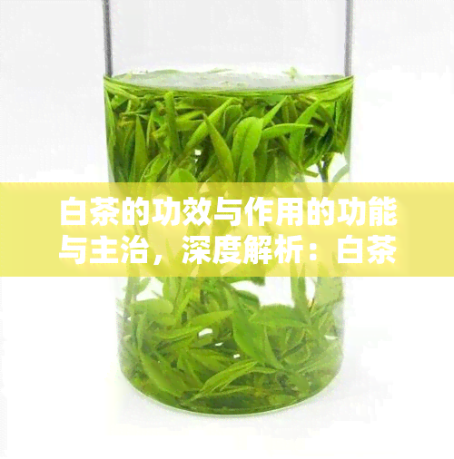 白茶的功效与作用的功能与主治，深度解析：白茶的功效与作用及其功能主治