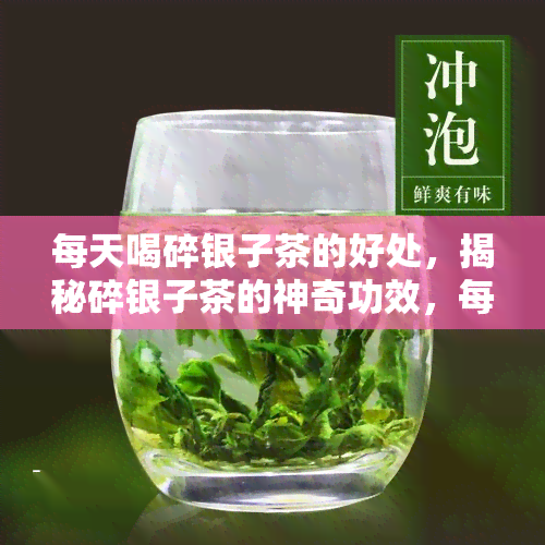 每天喝碎银子茶的好处，揭秘碎银子茶的神奇功效，每天饮用带来的健益处