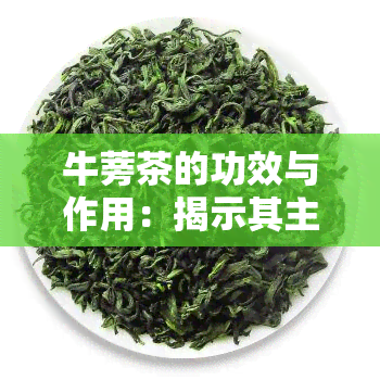 牛蒡茶的功效与作用：揭示其主要功效与禁忌