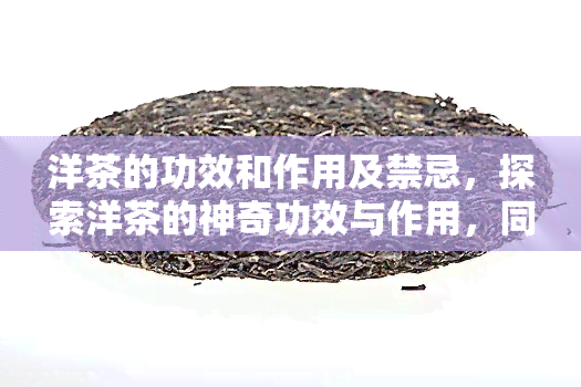 洋茶的功效和作用及禁忌，探索洋茶的神奇功效与作用，同时了解使用时需注意的禁忌