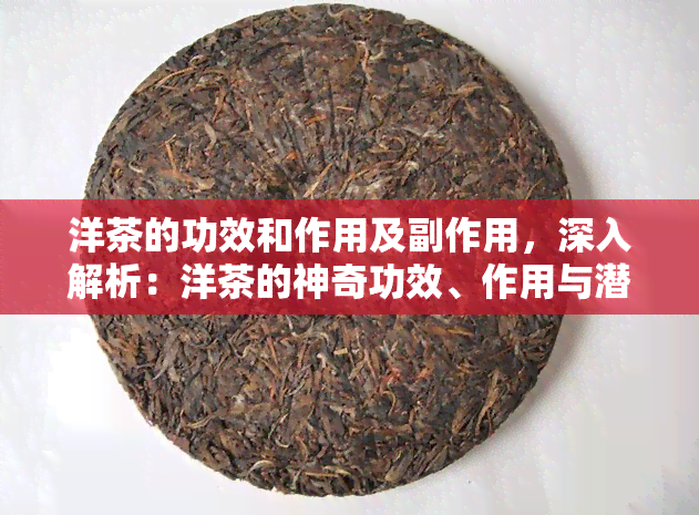 洋茶的功效和作用及副作用，深入解析：洋茶的神奇功效、作用与潜在副作用