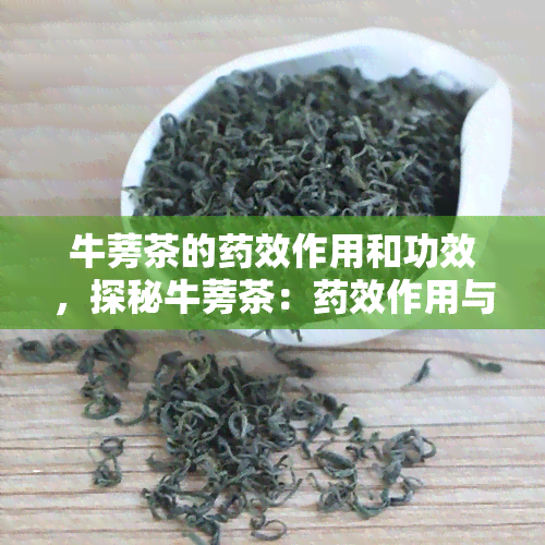 牛蒡茶的效作用和功效，探秘牛蒡茶：效作用与多重功效全解析