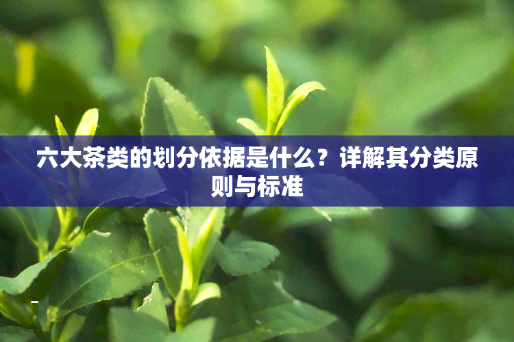 六大茶类的划分依据是什么？详解其分类原则与标准